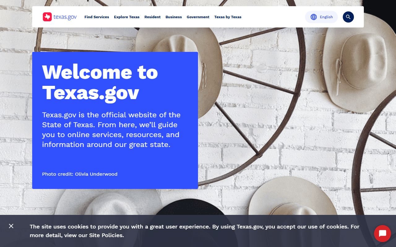 Official State of Texas portal for deed record access